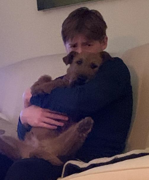 kit-connor-dog kit connor pet