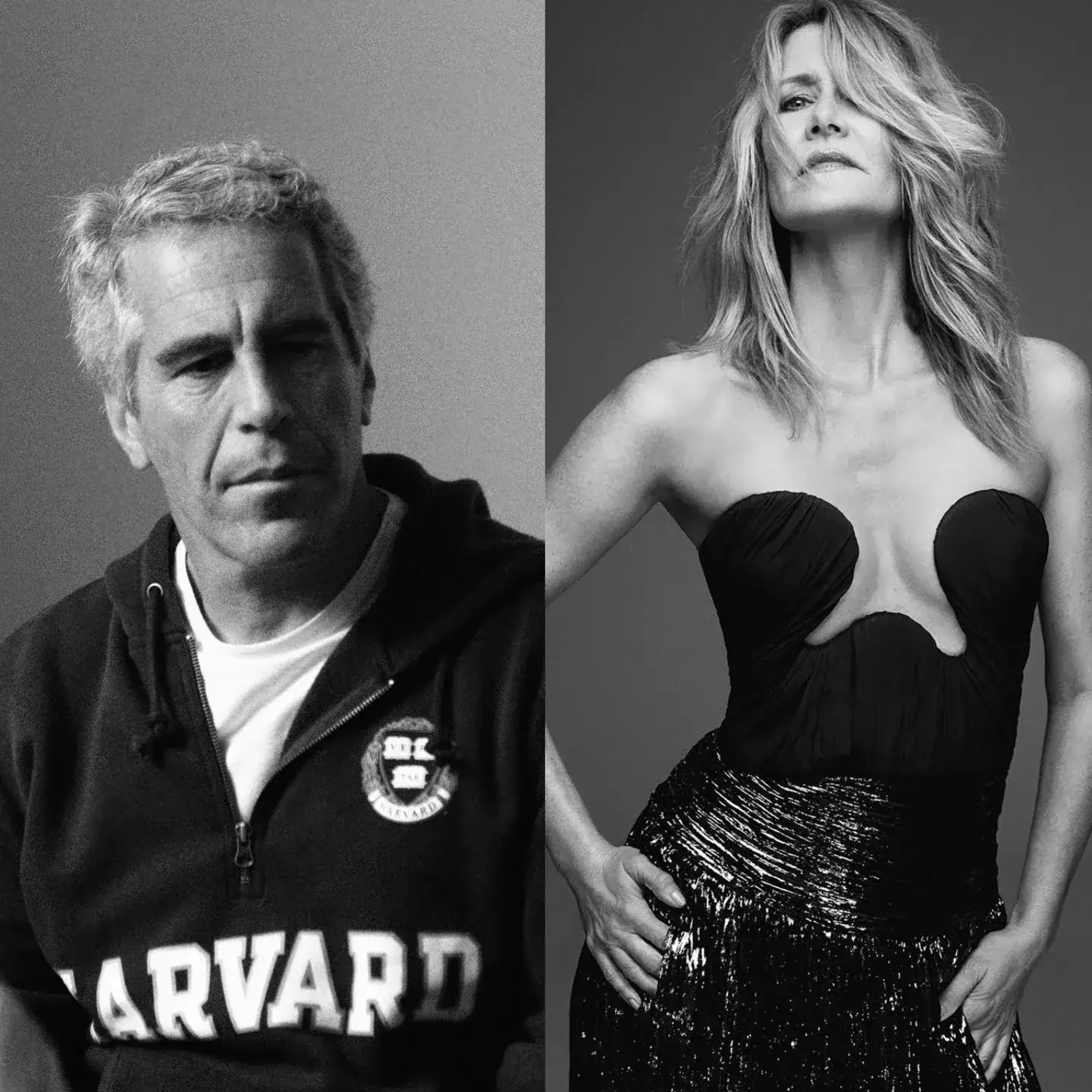 Jeffrey Epstein in a Harvard sweatshirt on the left and actress Laura Dern in a strapless black top on the right.