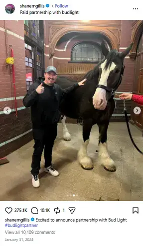 Shane Gillis giving a thumbs-up while standing next to a massive Clydesdale horse inside a stable.