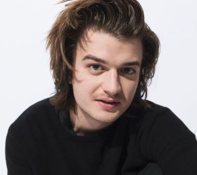 Joe Keery Wiki, Age, Dating, Girlfriend