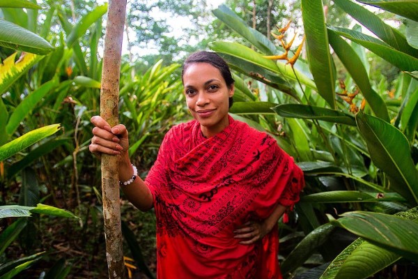 Rosario Dawson