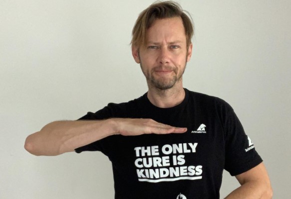 Jimmi Simpson