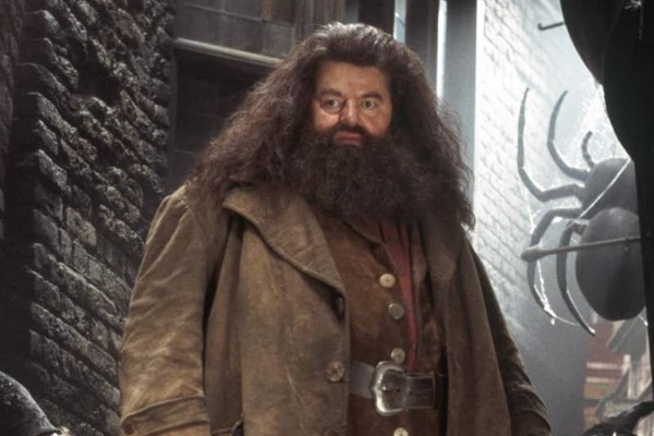 How Much Is Hagrid From Harry Potter Worth? Robbie Coltrane Earnings ...