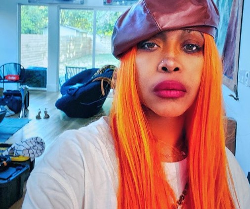 Erykah Badu Bio - Parents, Married, Partner, Family, Children, Net Worth