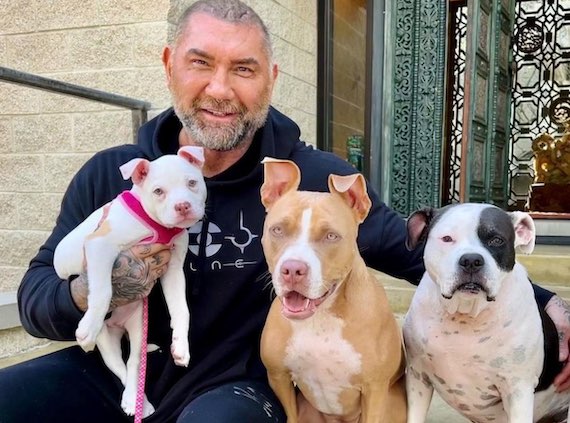 Who are Dave Bautista? Meet David Michael Bautista And Donna Raye